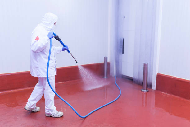 Best House Exterior Washing  in Cherokee, NC